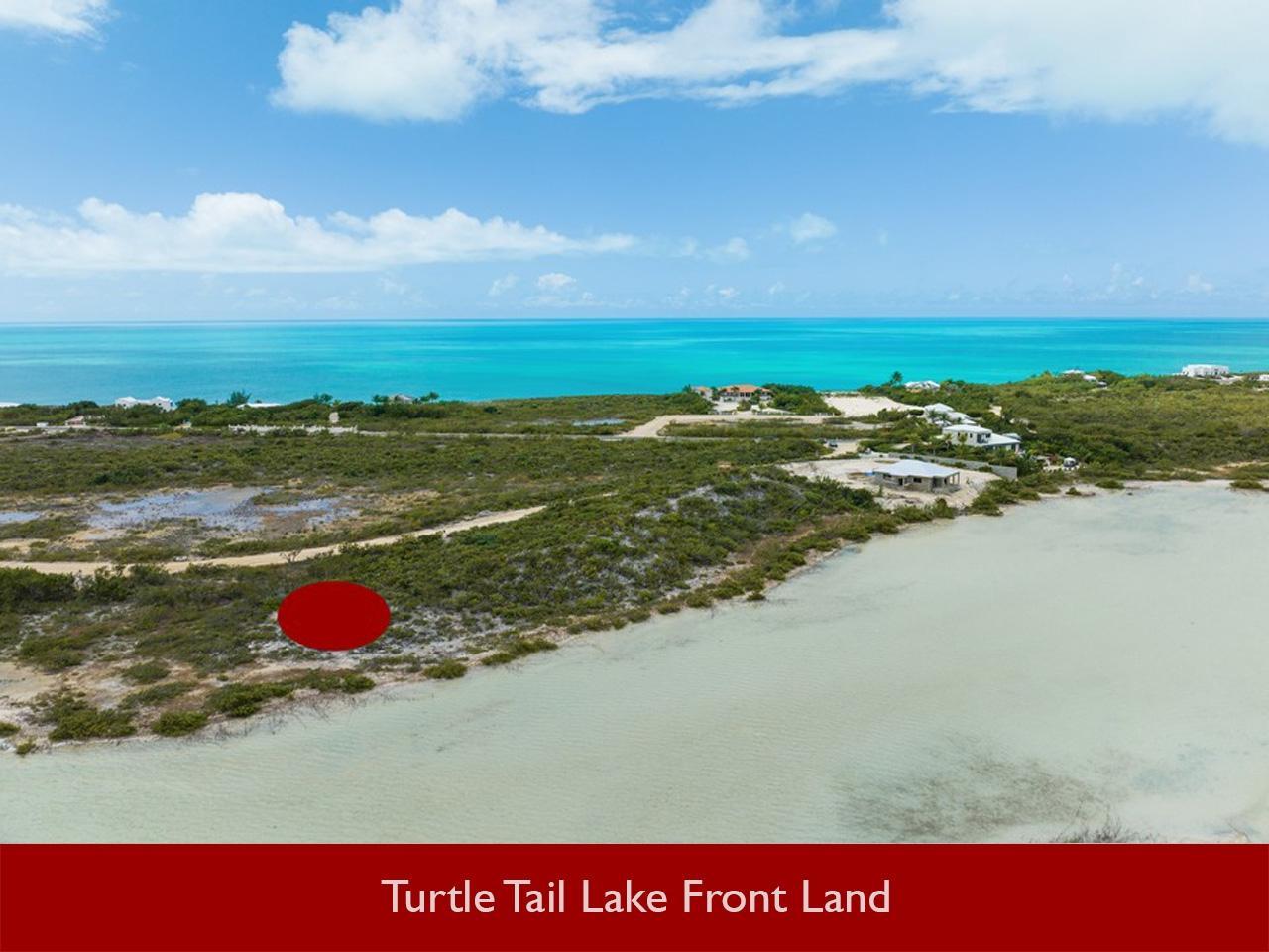 Turtle Tail Lake Front Land — photo 5
