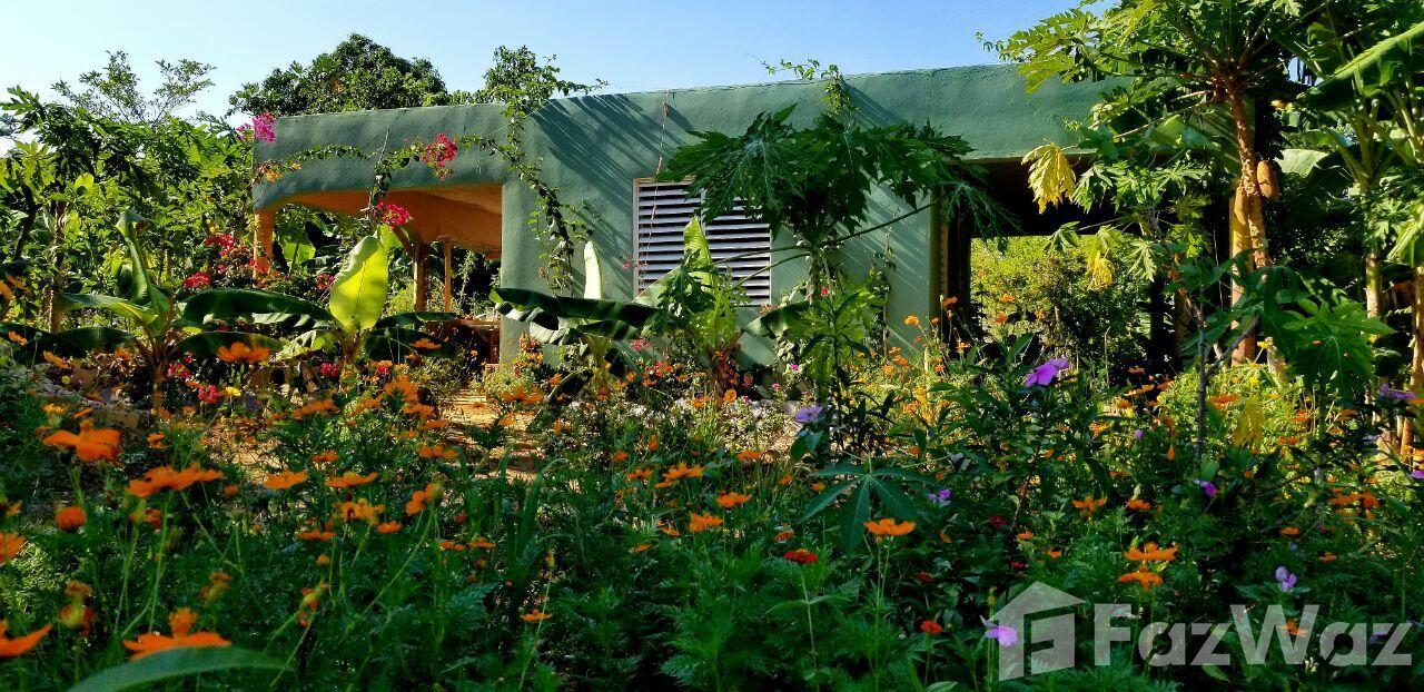 2 Bedroom House for Sale in Las Terrenas, Samana — photo 2