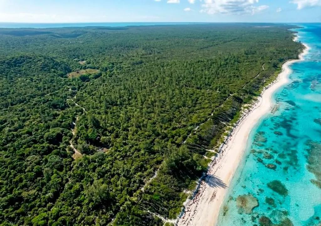 40-acre development plot in South Abaco — photo 5