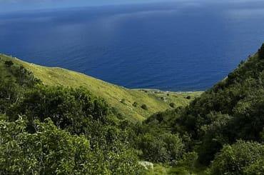 Land for Sale in Upper Hell's Gate, Saba — photo 5