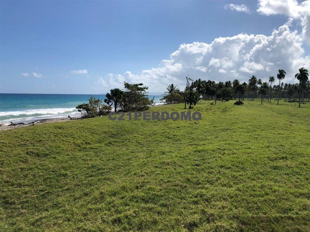 Beachfront Land for Sale, Las Cañas, Gaspar Hernández — photo 5