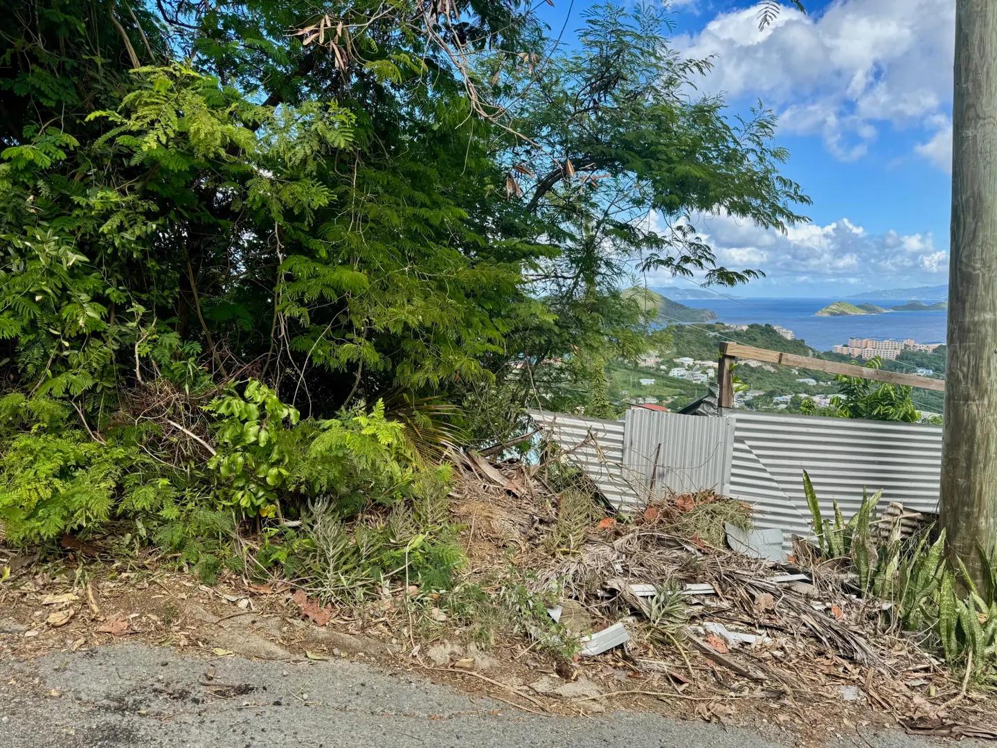0.33 Acre Homesite Lot in St. Thomas — photo 2