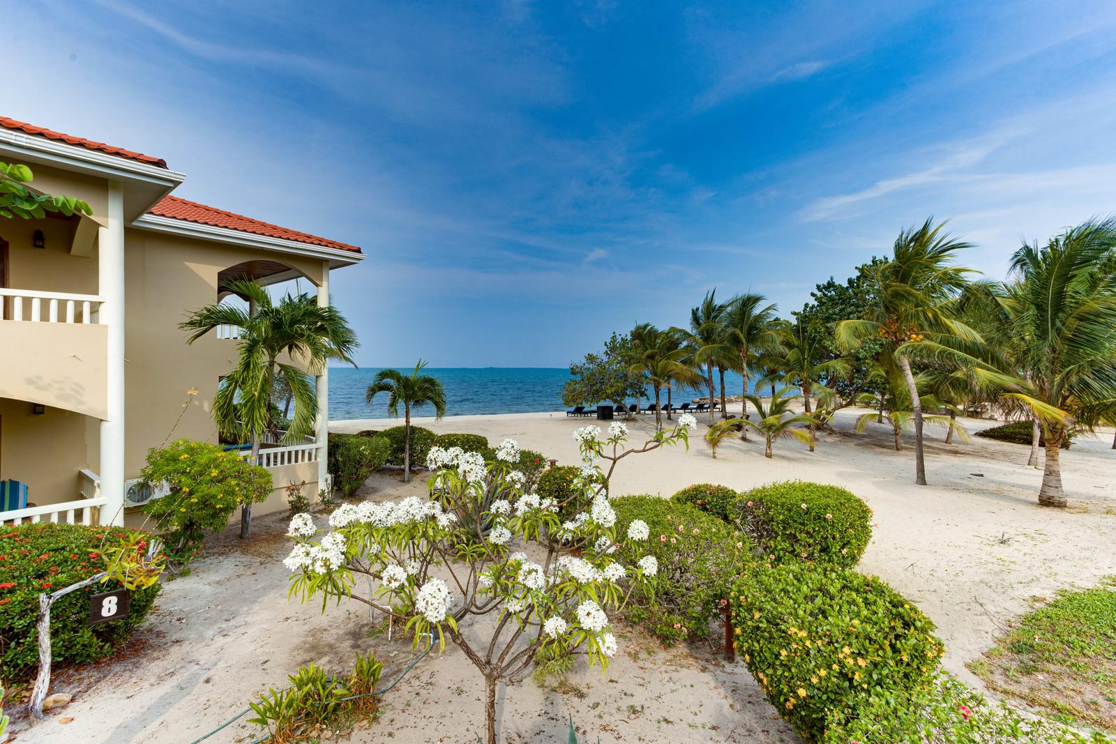 2-bedroom villa in Placencia at Los Porticos, beachfront — photo 3