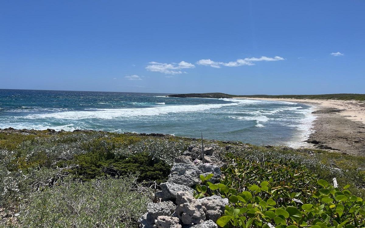 150-acre beachfront development land in Roses, Long Island, Bahamas — photo 4