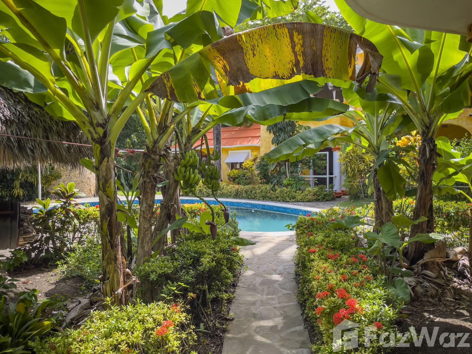 CABARETE Charming B&B Just Steps from the Beach — photo 1