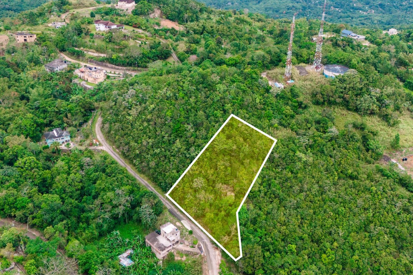 1-acre ocean-view lot in Rhynie Estate, Unity Hall, Montego Bay — photo 5