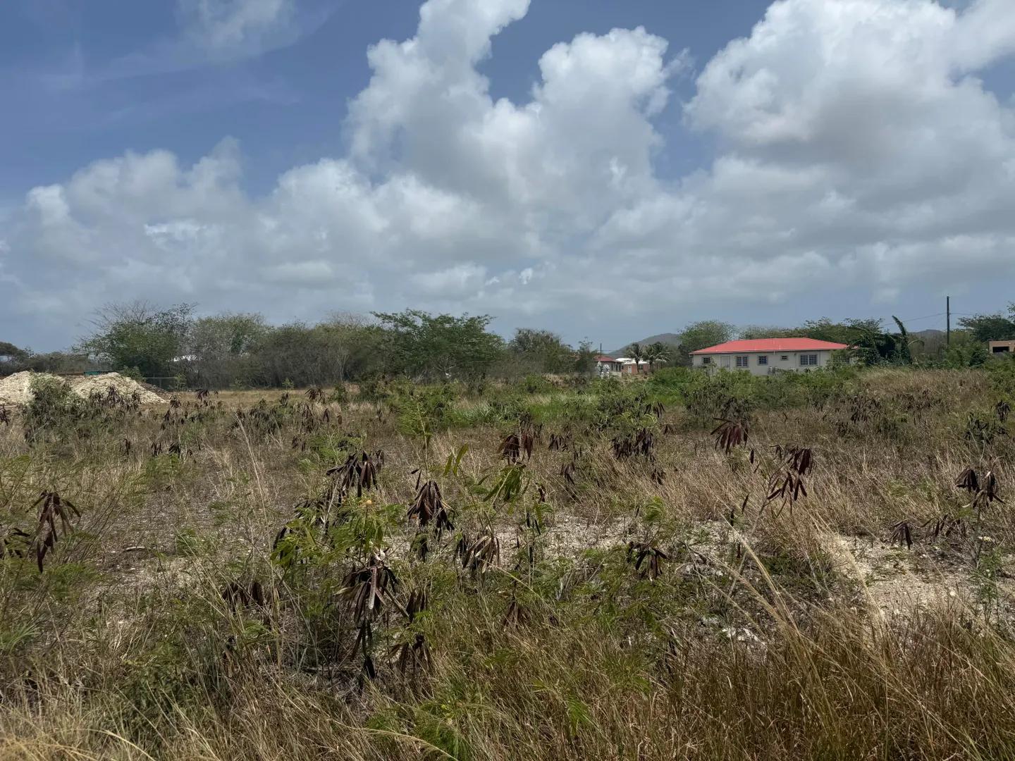 0.53 Acre Lot in US Virgin Islands — photo 2