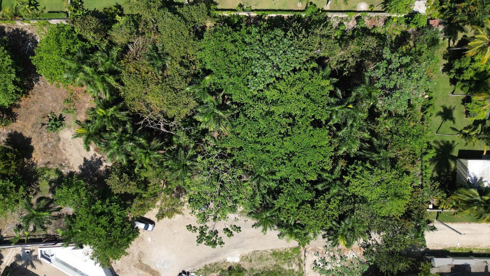 Spacious Building Lot for Sale in Costa Azul, Cabarete — photo 3
