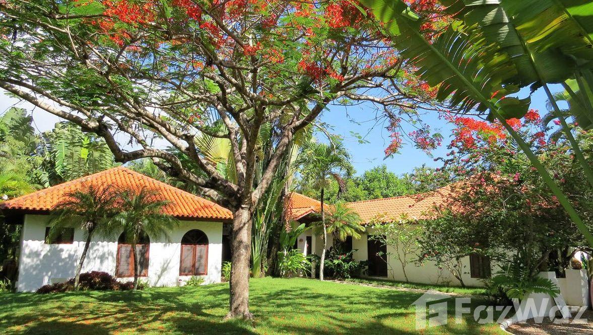 3BR Caribbean Home in Sea Horse Ranch — photo 2