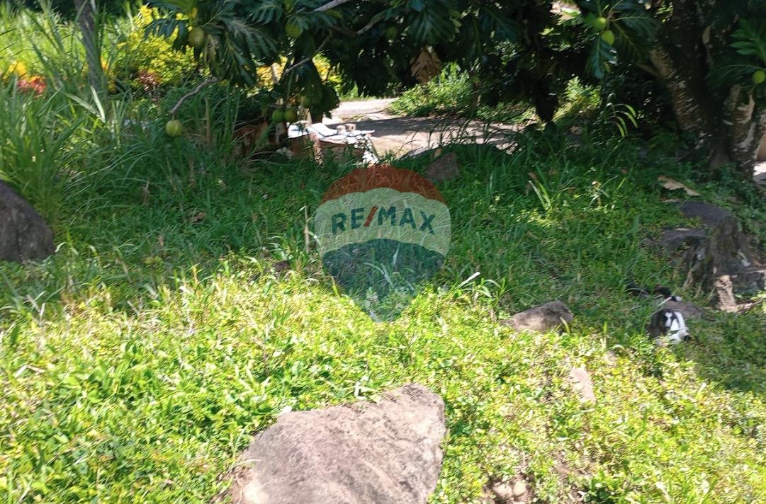 Investment Opportunity: Residential Lot in Layou, St. Vincent — photo 2