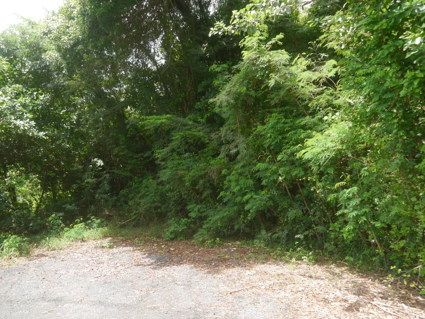 0.27 Acre Homesite Lot in US Virgin Islands — photo 2
