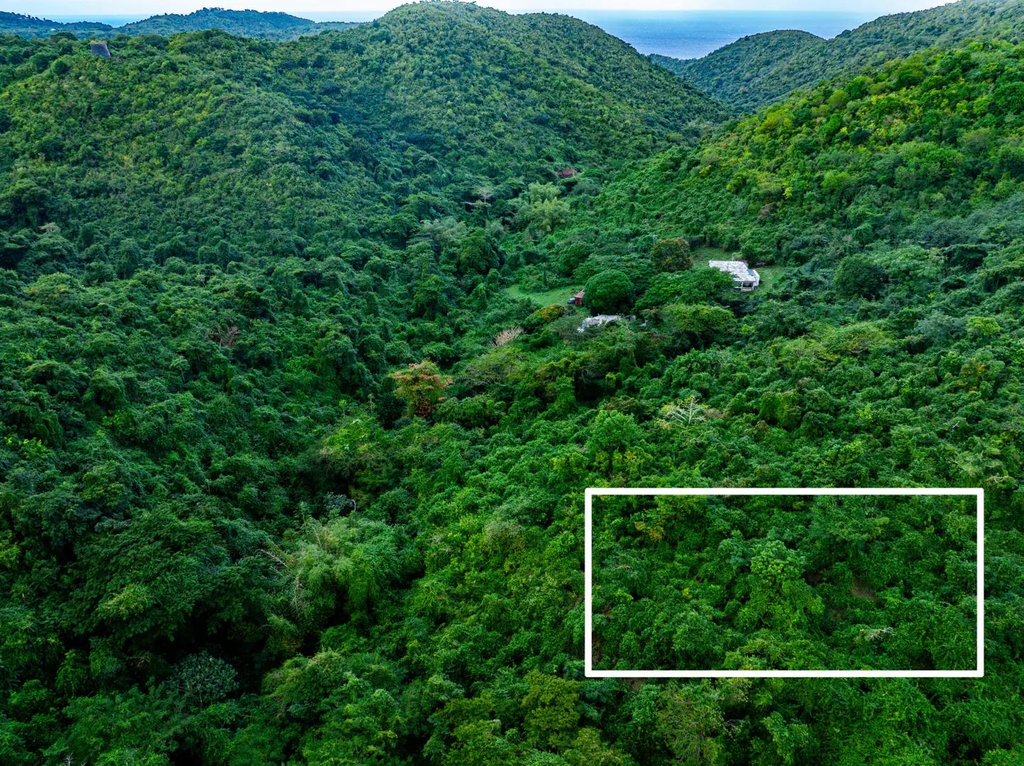 1 Acre Homesite in Spring Garden, St. Croix — photo 4
