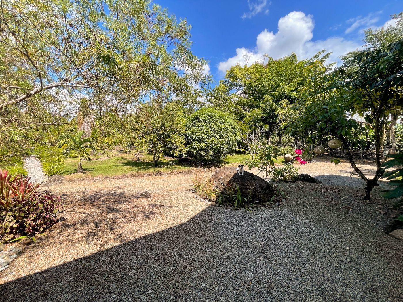 7 Bedroom Country House for Sale, San Isidro De El General, Perez Zeledon, San Jose, Costa Rica — photo 4