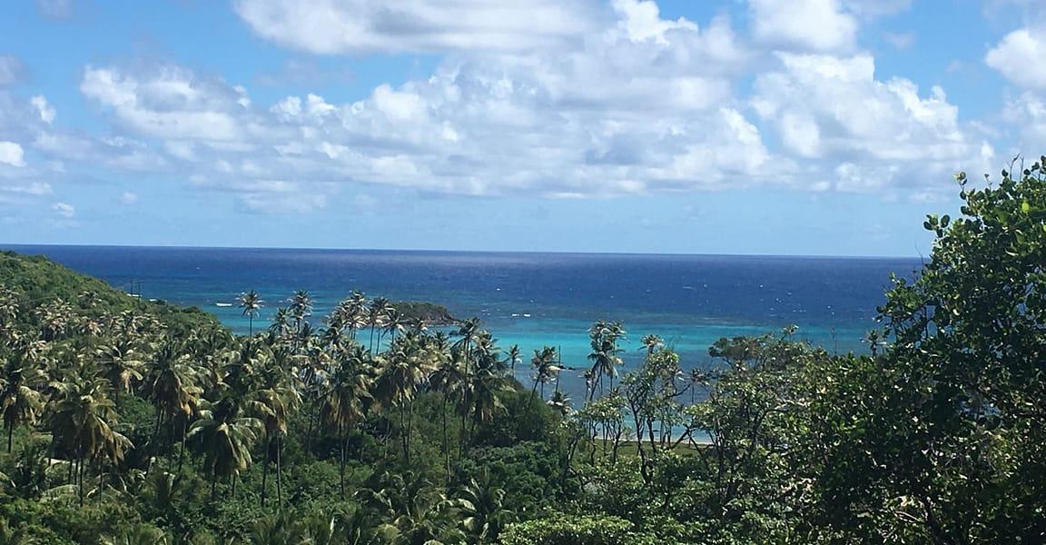 12.4-acre boutique hotel in Spring Estate, Bequia — photo 4