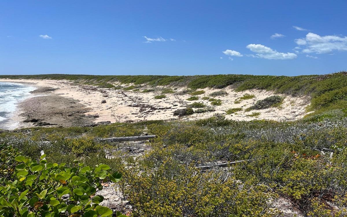 150-acre beachfront development land in Roses, Long Island, Bahamas — photo 1