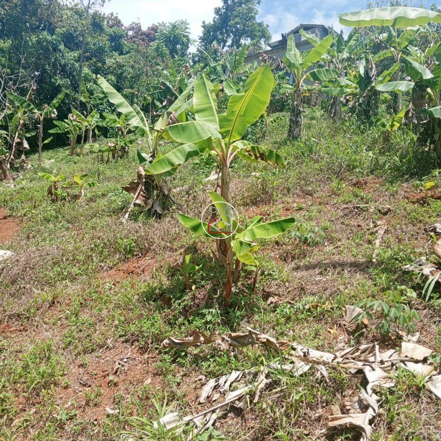 Residential Land for Sale in La Jugua, Hoyo del Cacao, Las Terrenas — photo 3