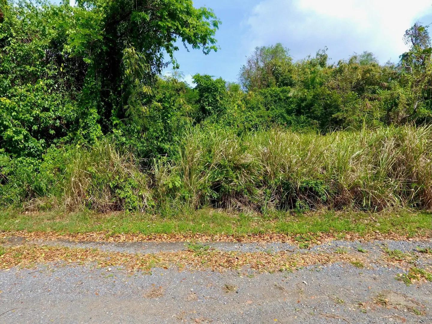 0.5 Acre Homesite Lot in Scenic Ridge, St. Croix — photo 3