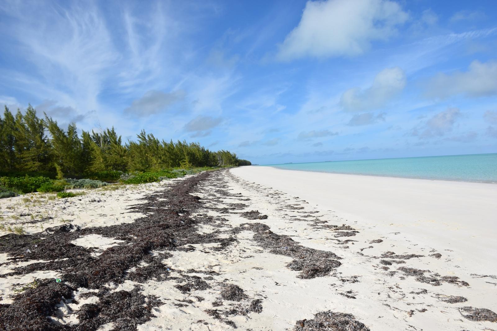 20 Acres Kemps Bay, Beachfront Acreage - MLS 68729 — photo 4
