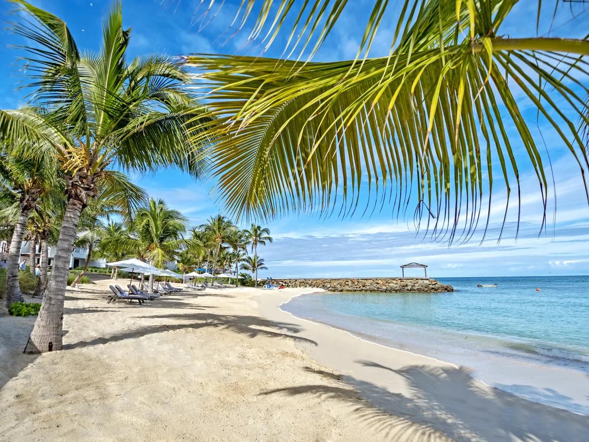 The beach at Hodges Bay Resort & Spa, Antigua, palms and loungers above a sheltered swimming bay
