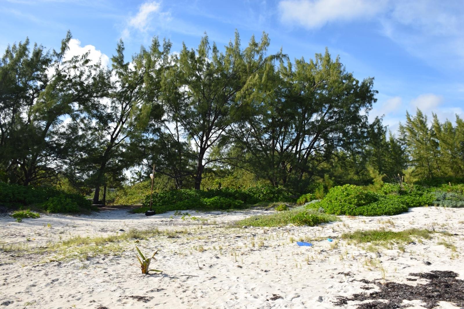 20 Acres Kemps Bay, Beachfront Acreage - MLS 68729 — photo 5