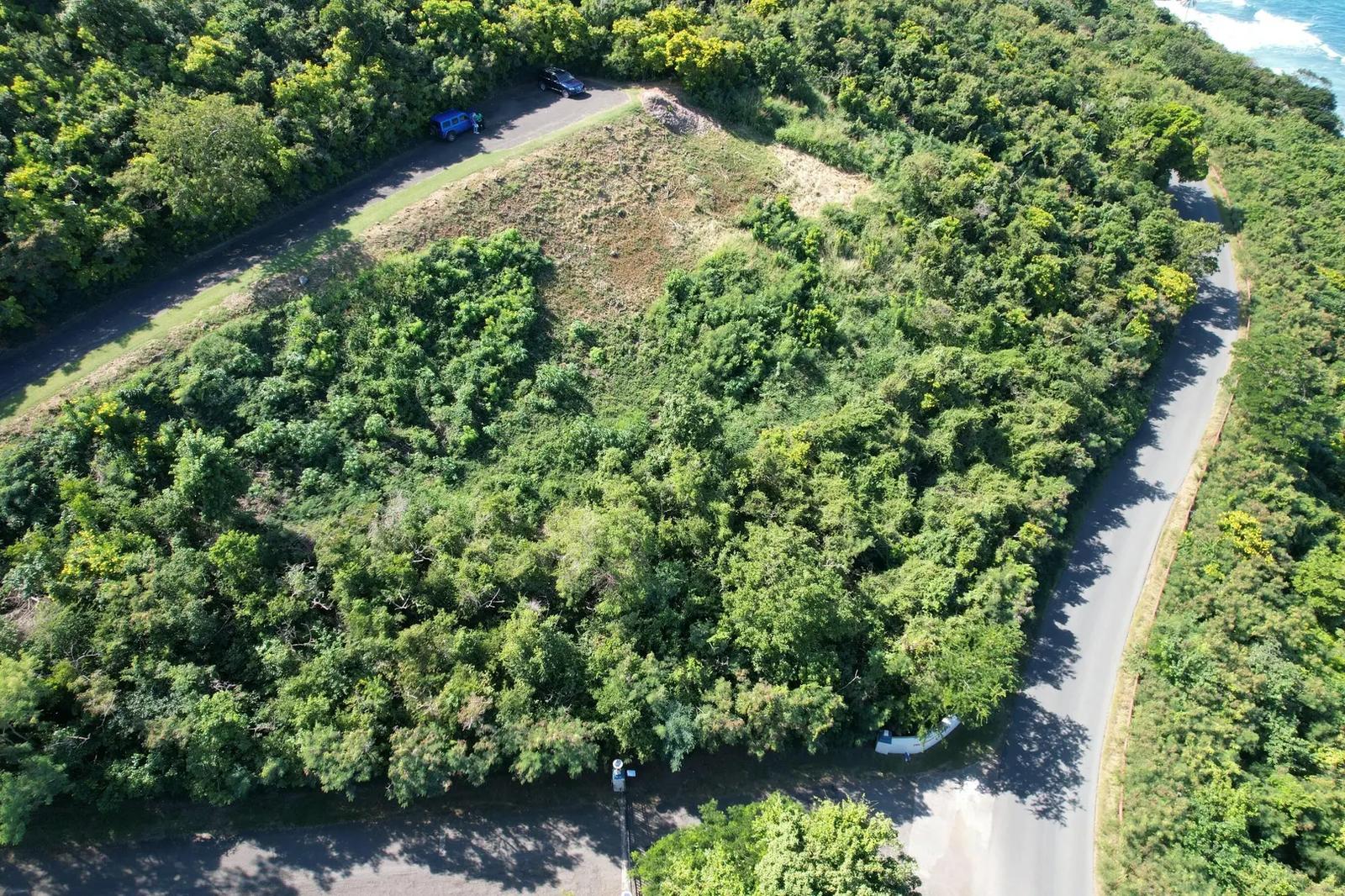 0.79 Acre Homesite Lot in Prosperity Ridge, St. Croix — photo 4