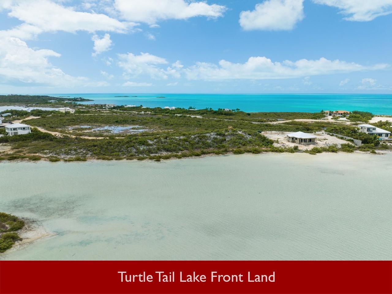 Turtle Tail Lake Front Land — photo 4