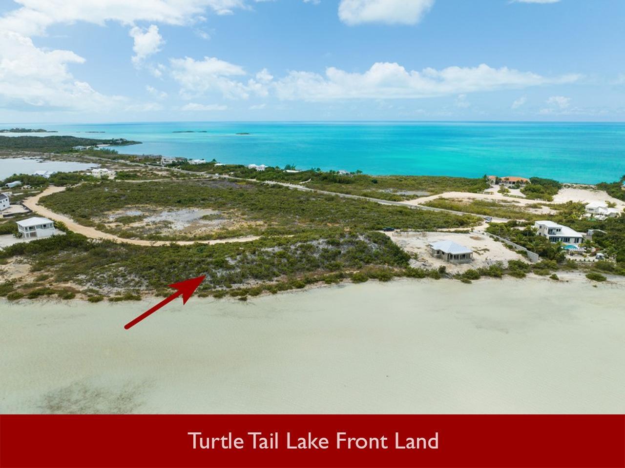 Turtle Tail Lake Front Land — photo 2