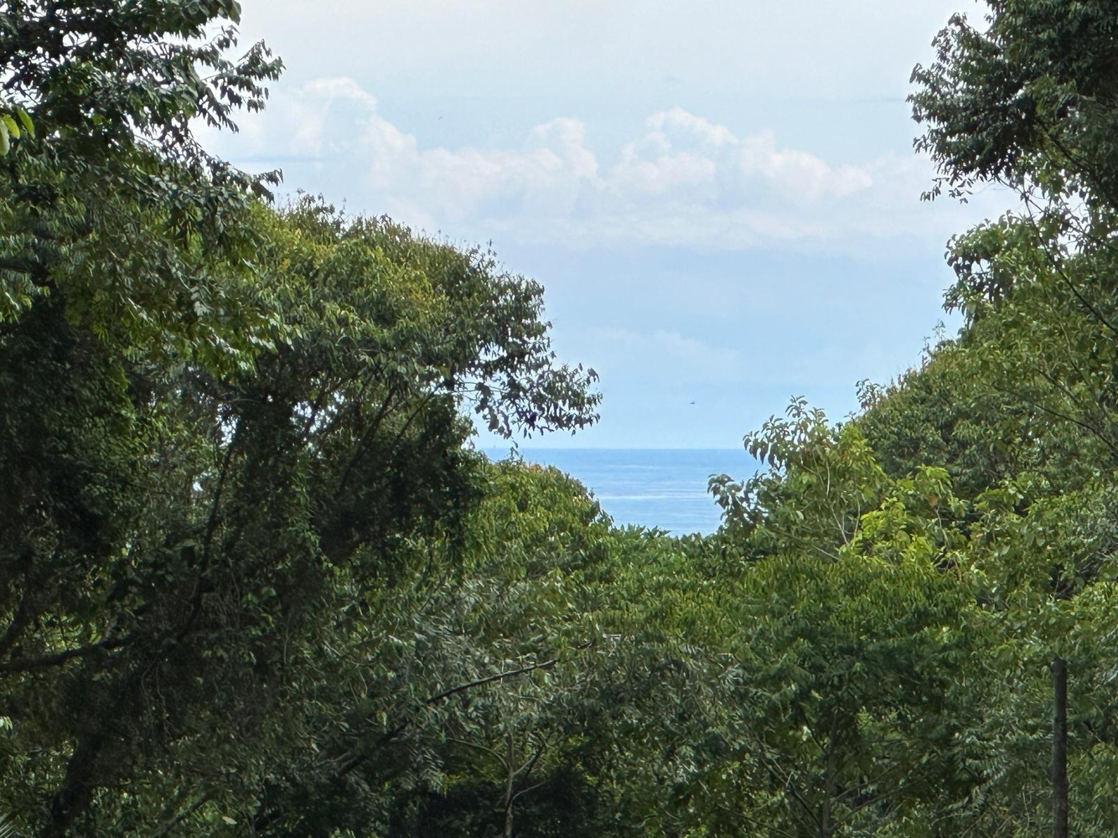 8.8 Acres of Land for Sale in Dominicalito, Puntarenas, Costa Rica — photo 5