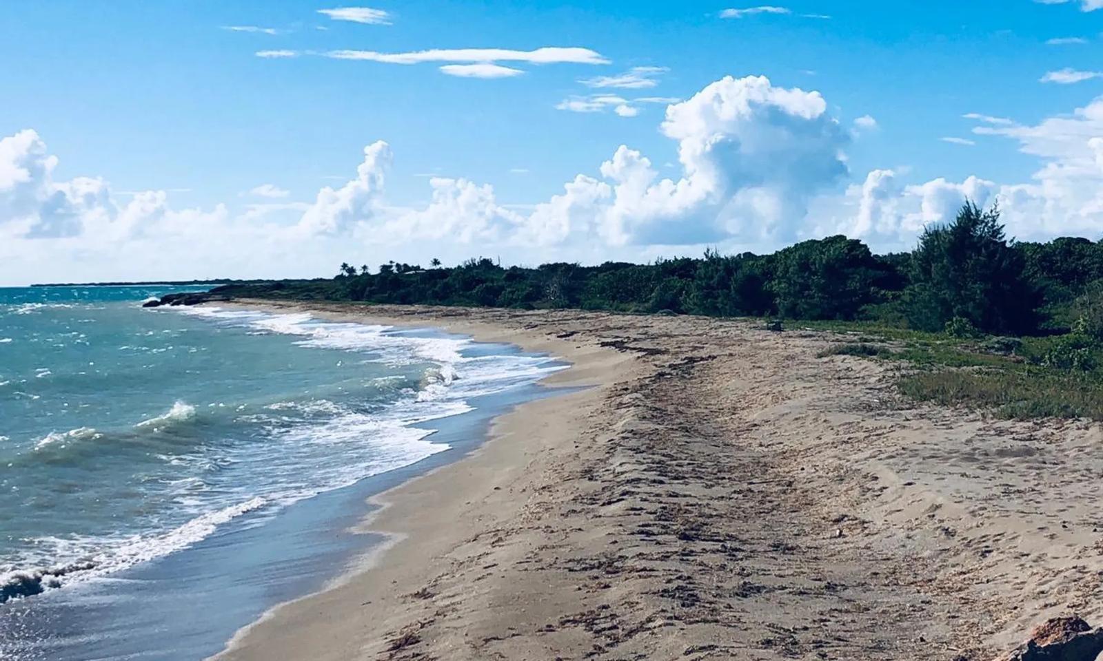 37.41 Acre Waterfront Development Lot — photo 5