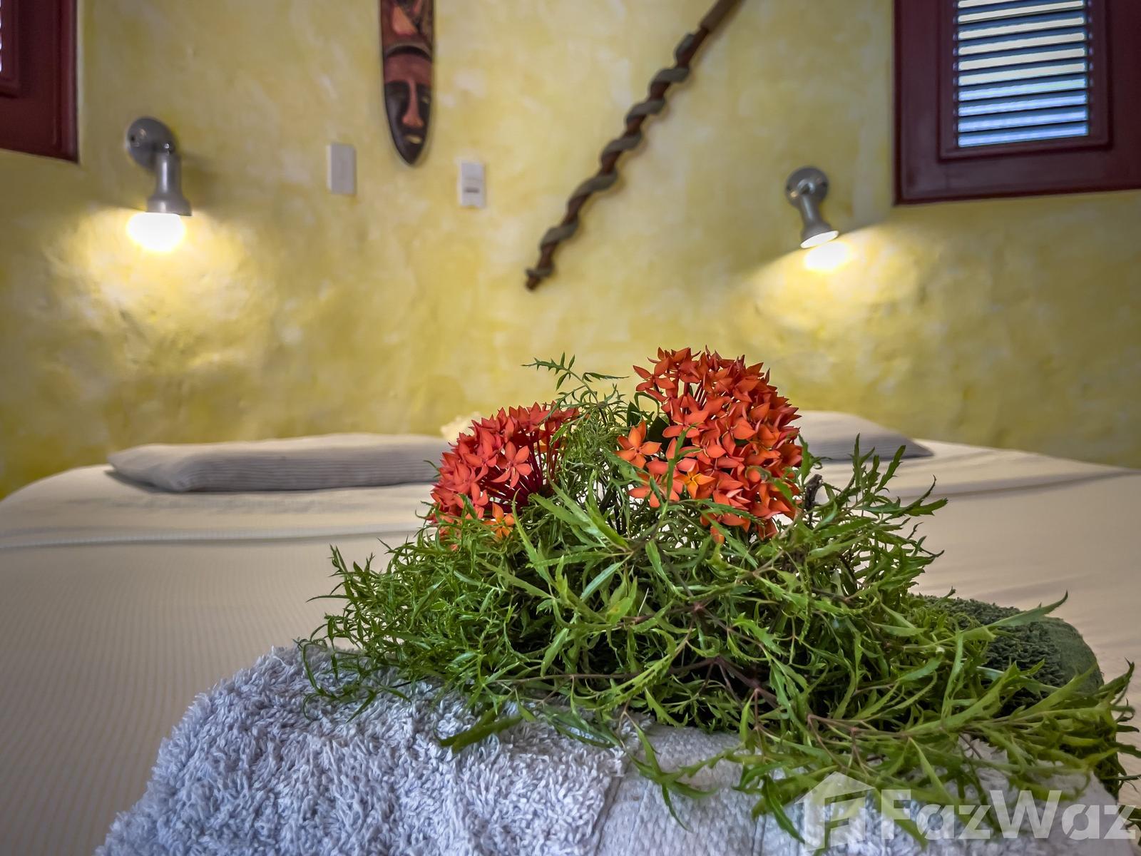 CABARETE Charming B&B Just Steps from the Beach — photo 4