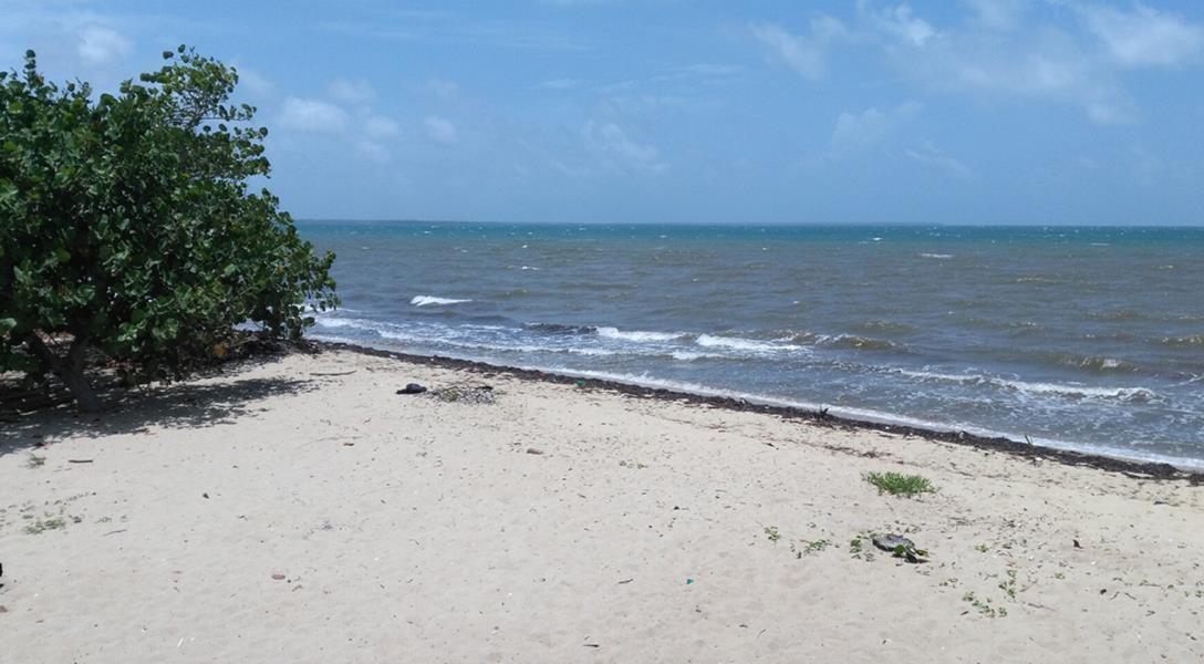 BeachFront living in Mayacan — photo 2