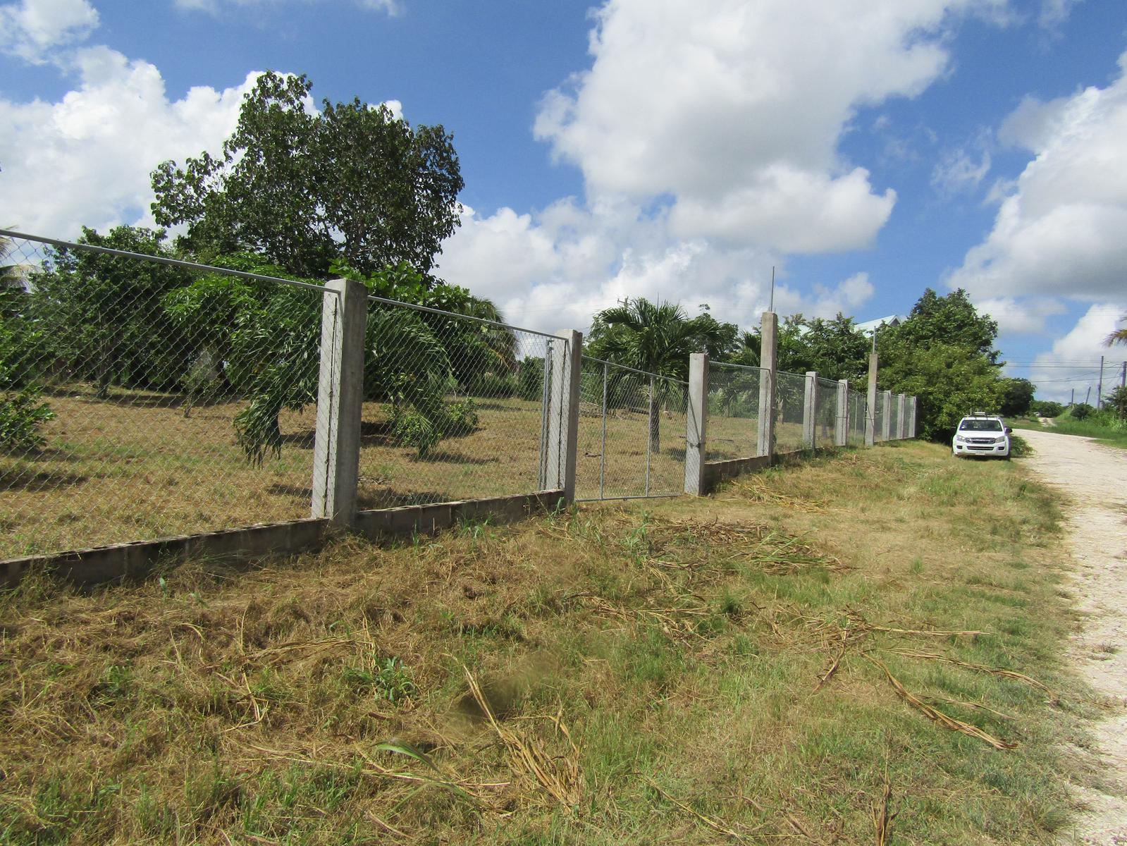 #2503 – A VERY LARGE RESIDENTIAL LOT IN SAN IGNACIO — photo 5
