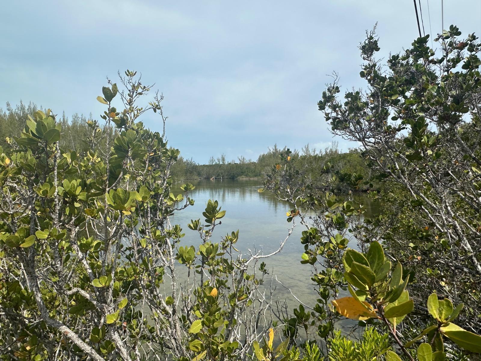 3 LIL BLUFF SAVANNAH SOUN — photo 3