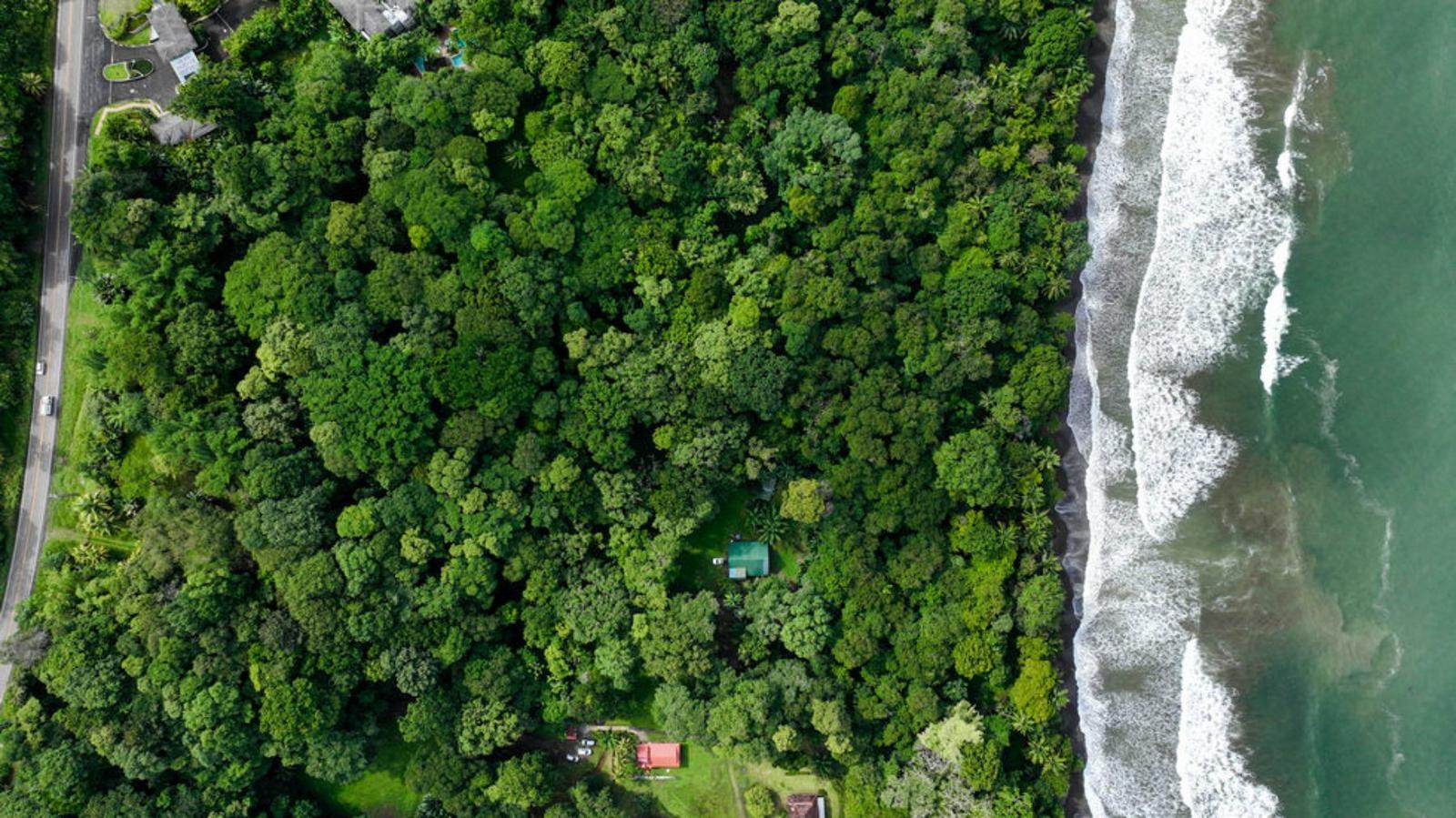 2.75 Acre Beachfront Property for Sale, Uvita, Puntarenas, Costa Rica — photo 3