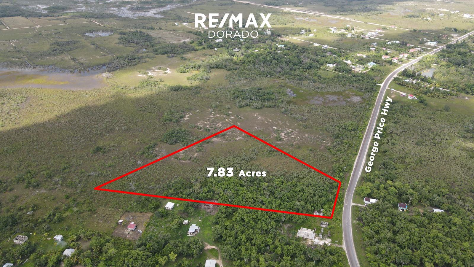 7.83 Acre Property on George Price Highway! — photo 2
