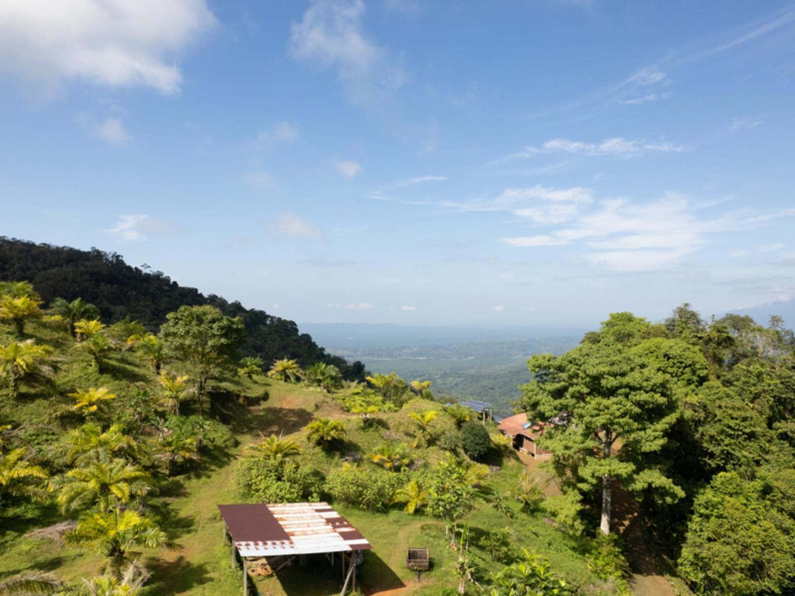 632.6 Acres of Land for Sale, Quepos, Puntarenas, Costa Rica — photo 3