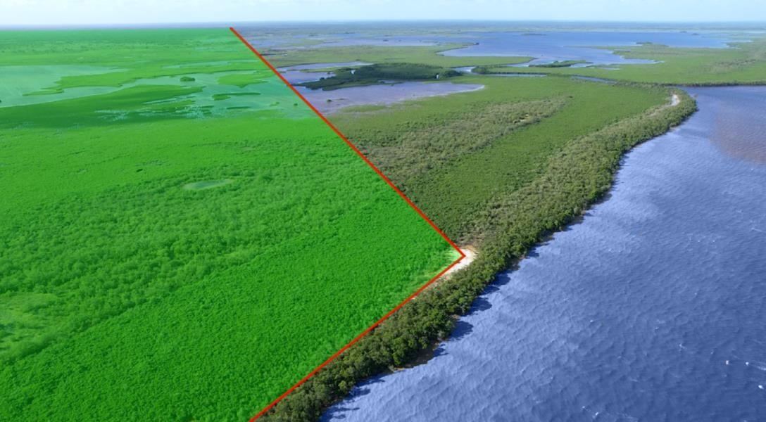 4000 Acres of Brilliant Waterfront Farmland North of Belize City — photo 1