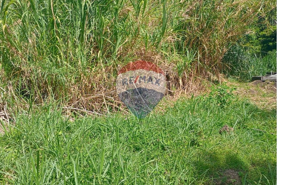 Investment Opportunity: Residential Lot in Layou, St. Vincent — photo 5