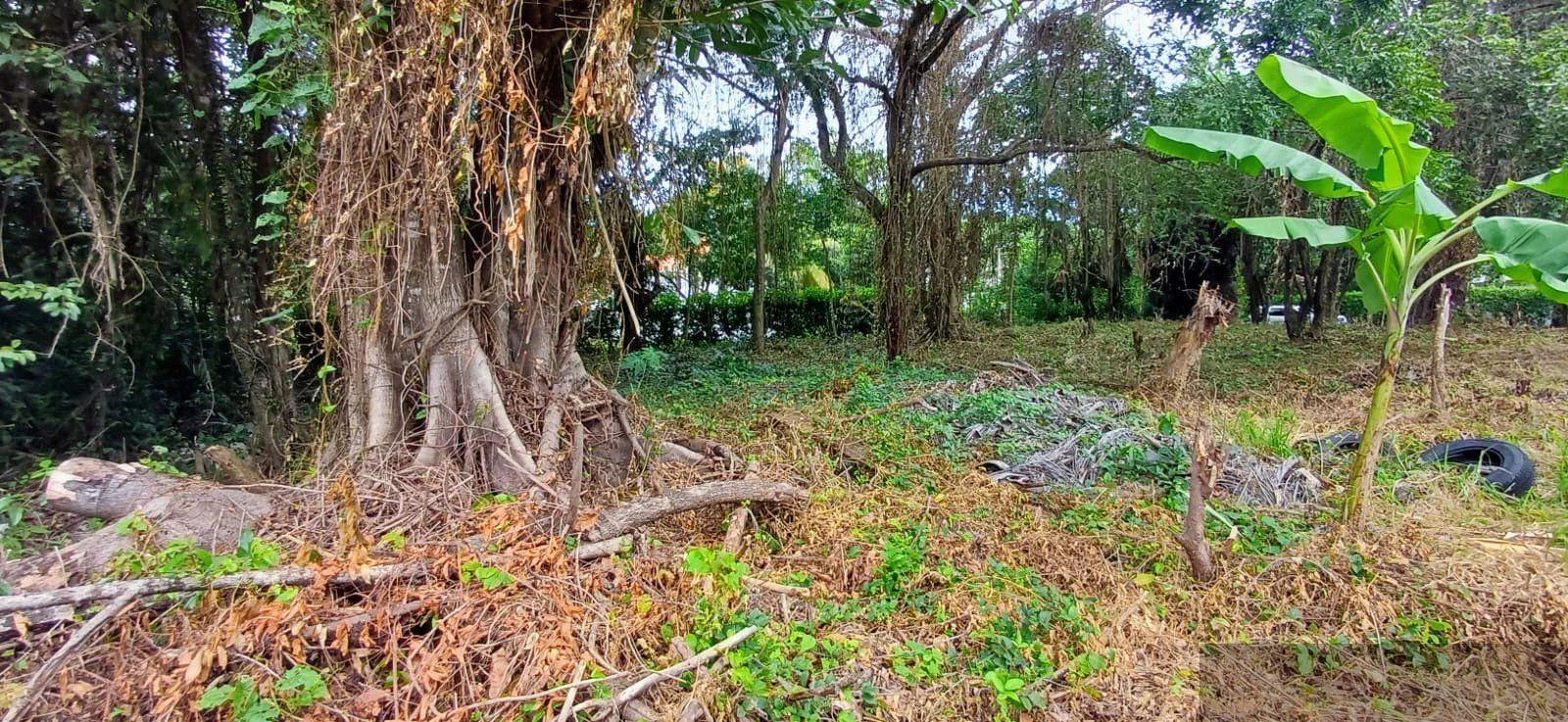 Residential Lot in Perla Marina, Cabarete — photo 2