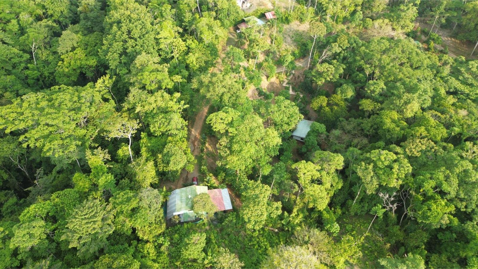 8-House Compound for Sale, Uvita, Puntarenas, Costa Rica — photo 2