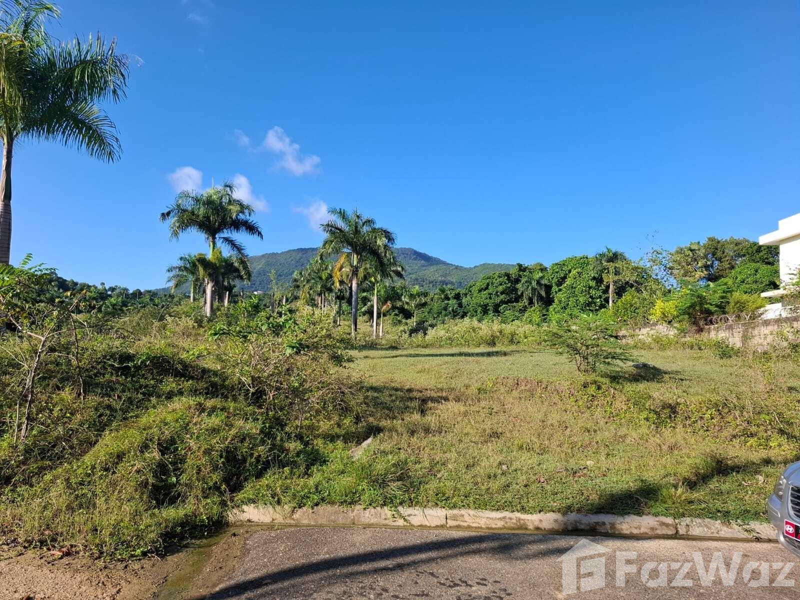 1,019 m² land in San Felipe De Puerto Plata, Puerto Plata — photo 5