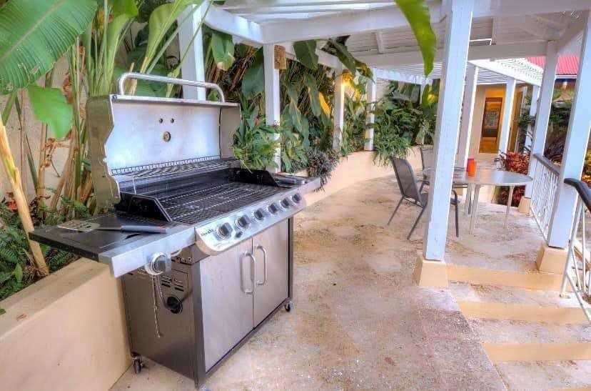 Seven Peak Villa Cane Garden Bay — photo 4