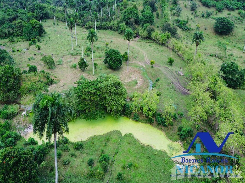 2,200 acres cattle farm for sale in Imbert — photo 4