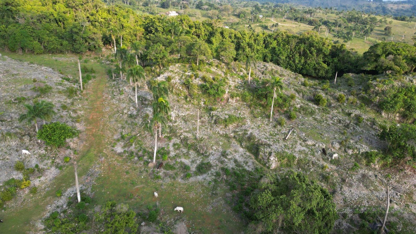 Oceanview Development Lot for sale in Río San Juan with Financing — photo 2