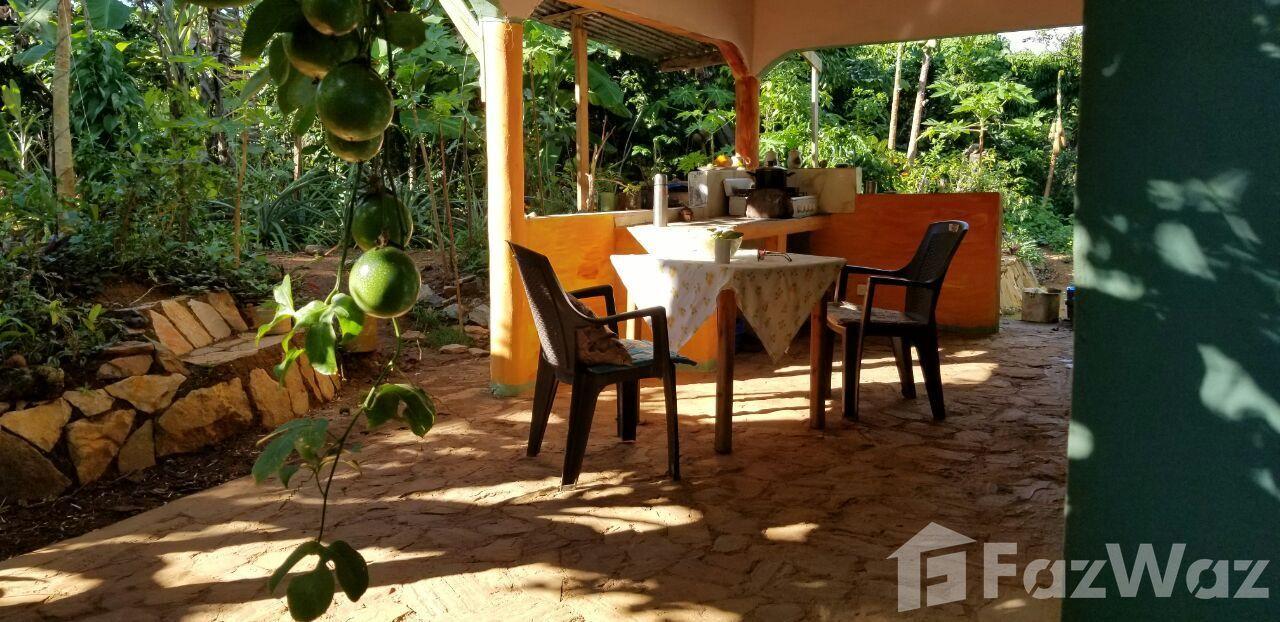 2 Bedroom House for Sale in Las Terrenas, Samana — photo 5
