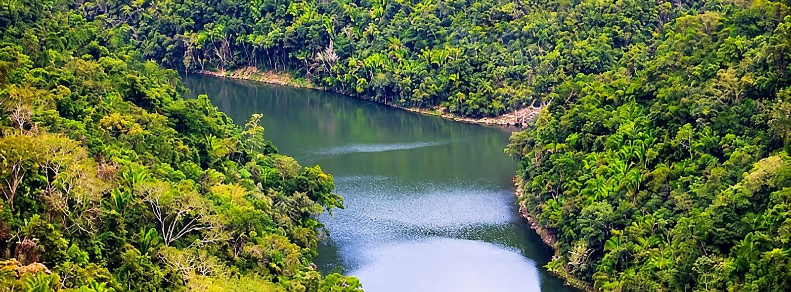 0.61-Acre Rainforest Lot 71 in Better In Belize — photo 4