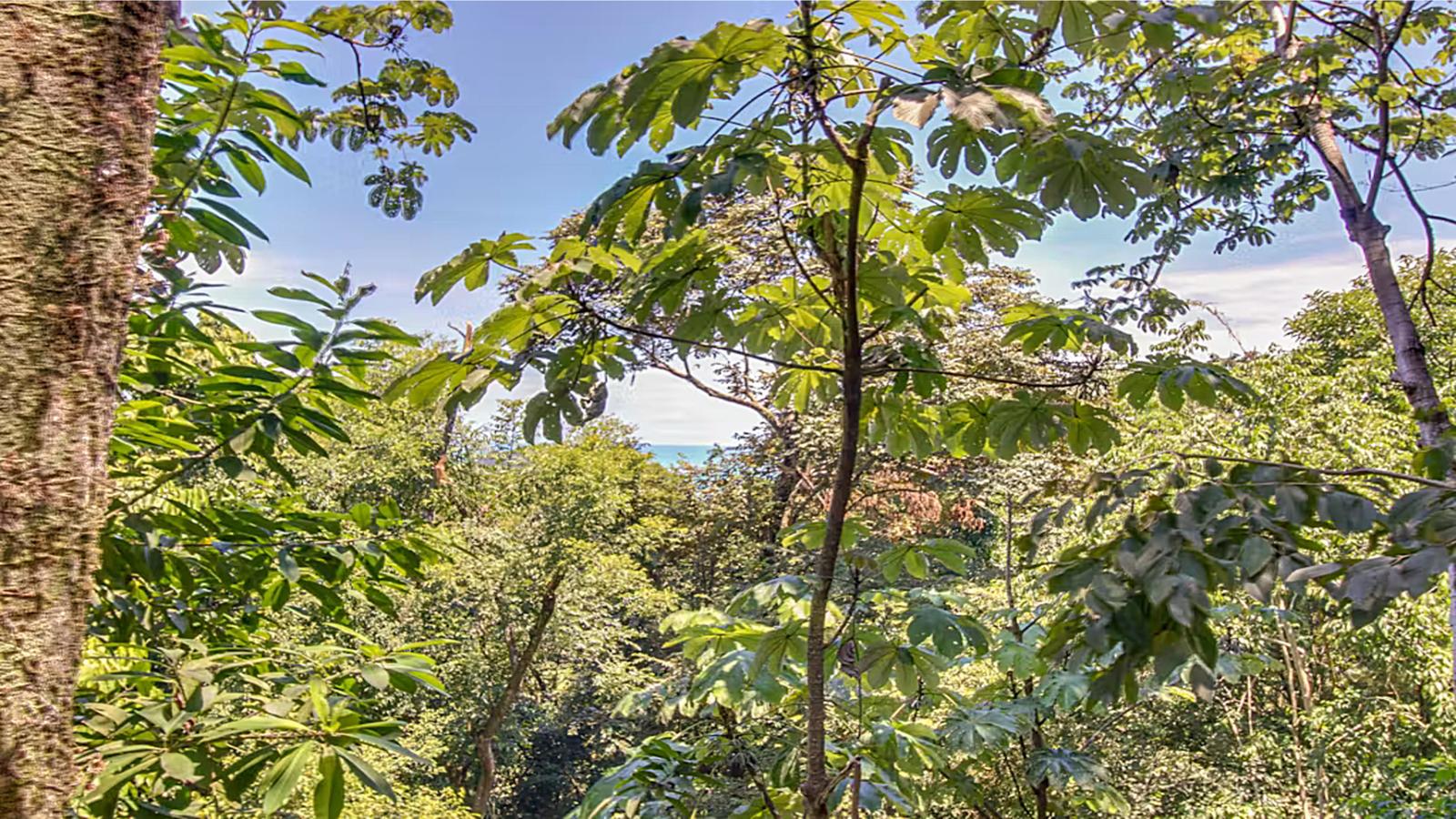 7 Bedroom Home for Sale, Pacific Canyon Drive, Manuel Antonio, Puntarenas, Costa Rica — photo 2