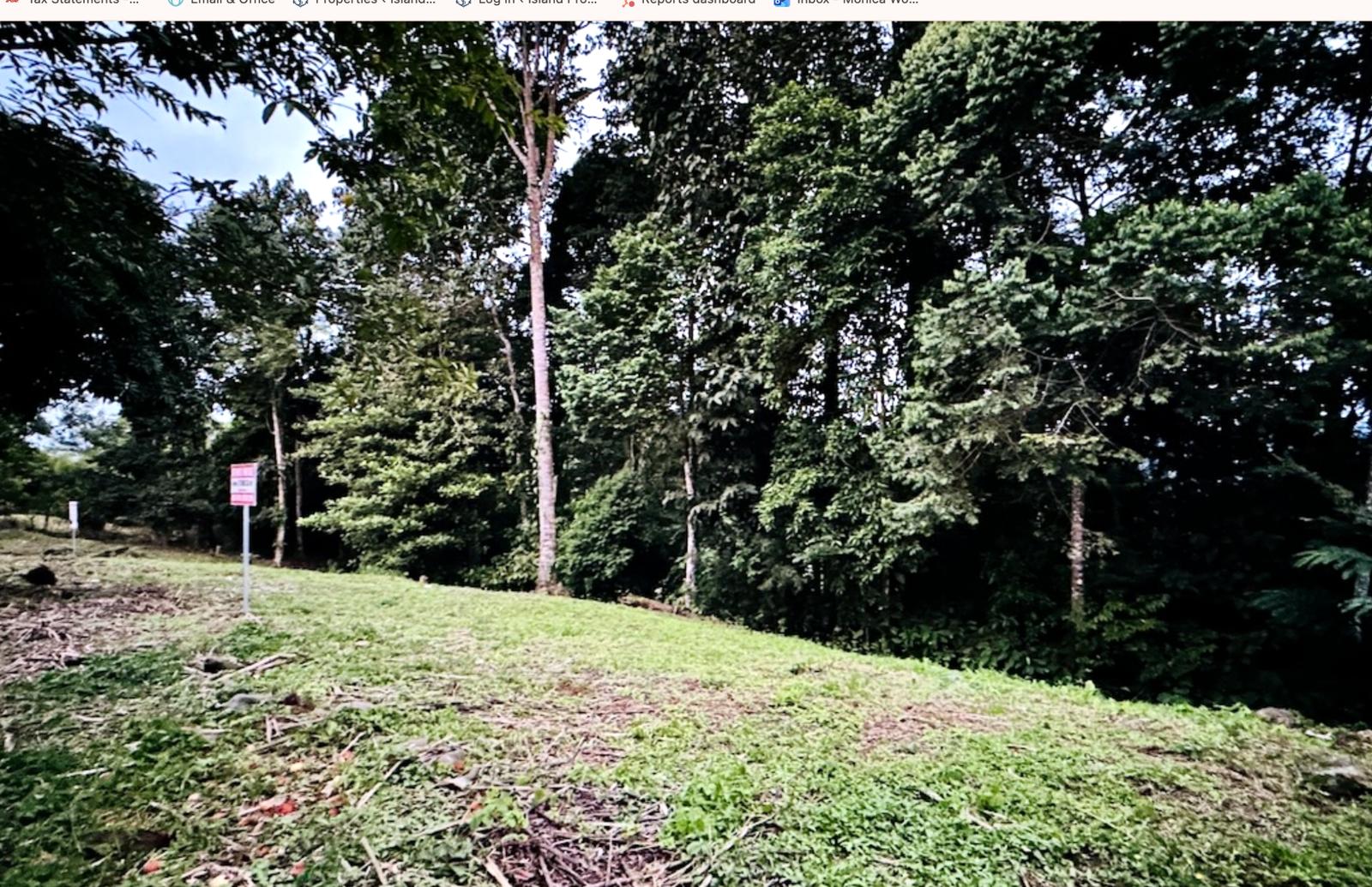 Beautiful lot for sale in San Isidro del General Costa Rica — photo 2