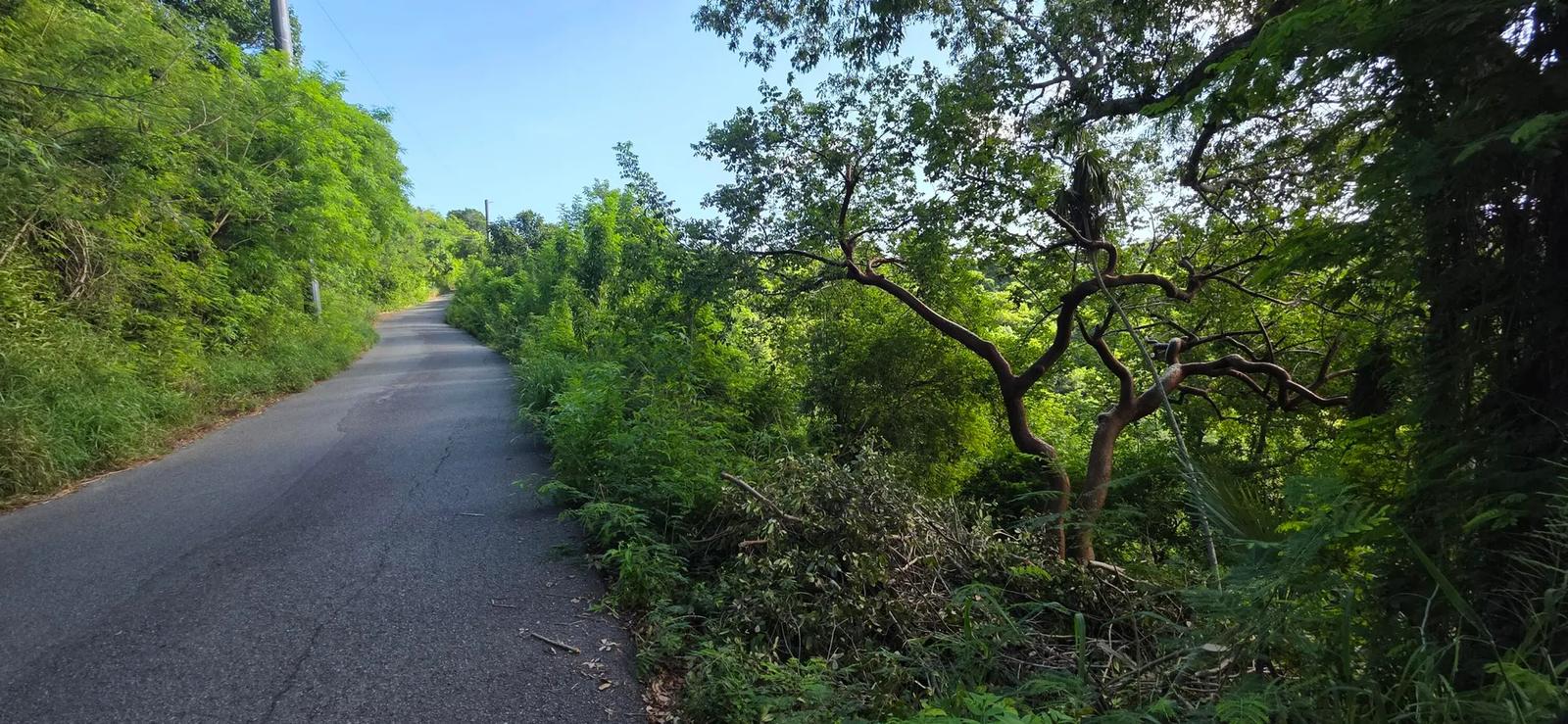 0.51 Acre Lot 4-17-a Tabor & Harmony Ee — photo 3