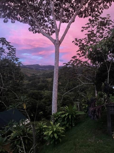 3 Bedroom Home for Sale in Platanillo, Costa Rica — photo 5